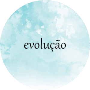 evolução